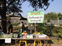 ผู้ว่าปทุม3