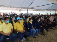 จิตอาสา4