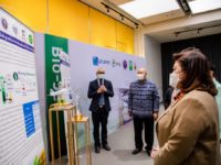 ชมผลงาน