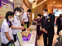 เยี่ยมชม