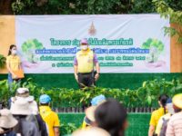 ปลูกป่า 1