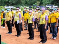 ปลูกป่า 2