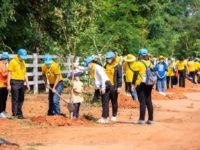 ปลูกป่า 3