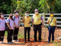 ปลูกป่า 4