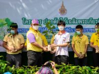 ปลูกป่า 5