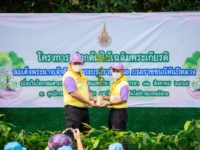 ปลูกป่า 6