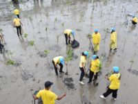 279909865_463543008908092_1436261566755151865_n