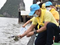 280757254_742003523623940_5260516928757008881_n