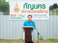 LINE_ALBUM_แปลงกัญชา_๒๒๐๘๐๙_6