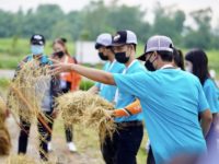 คูโบต้าฟาร์ม3