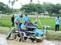 คูโบต้าฟาร์ม4