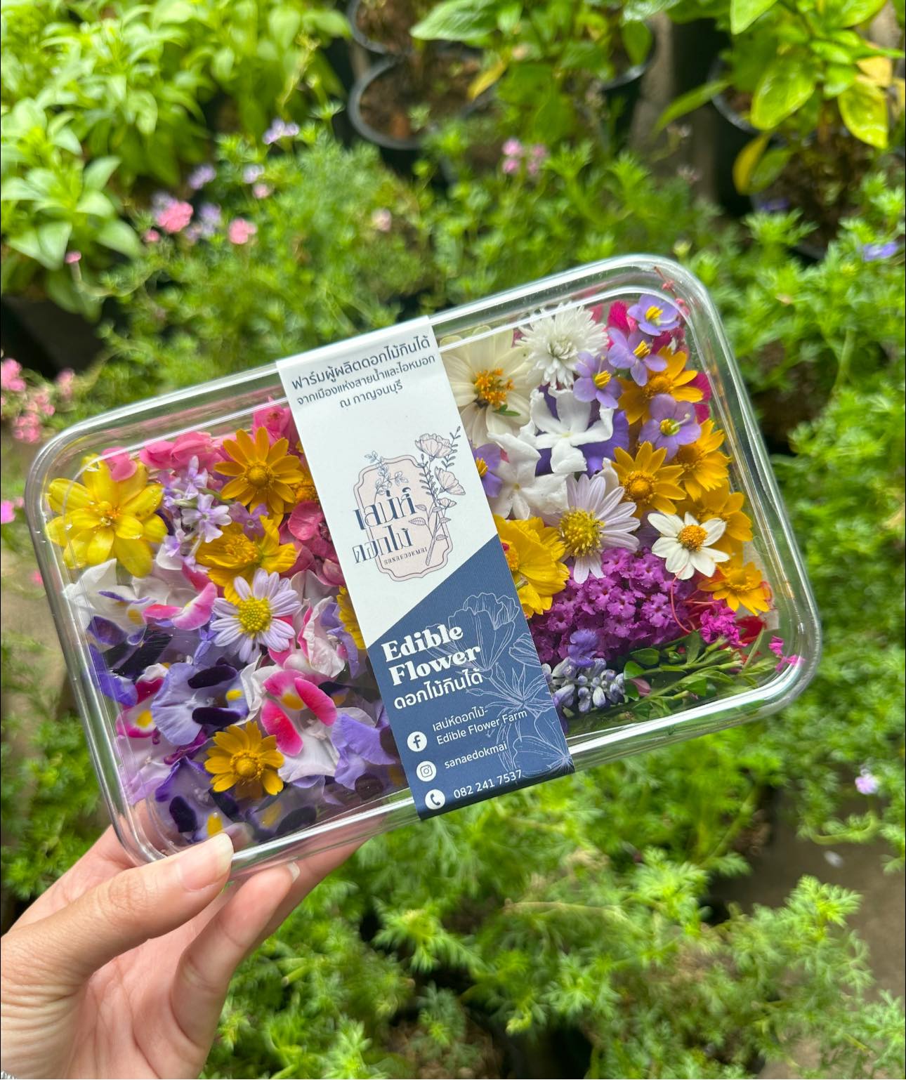 ตัวอย่างผลิตภัณฑ์1_0