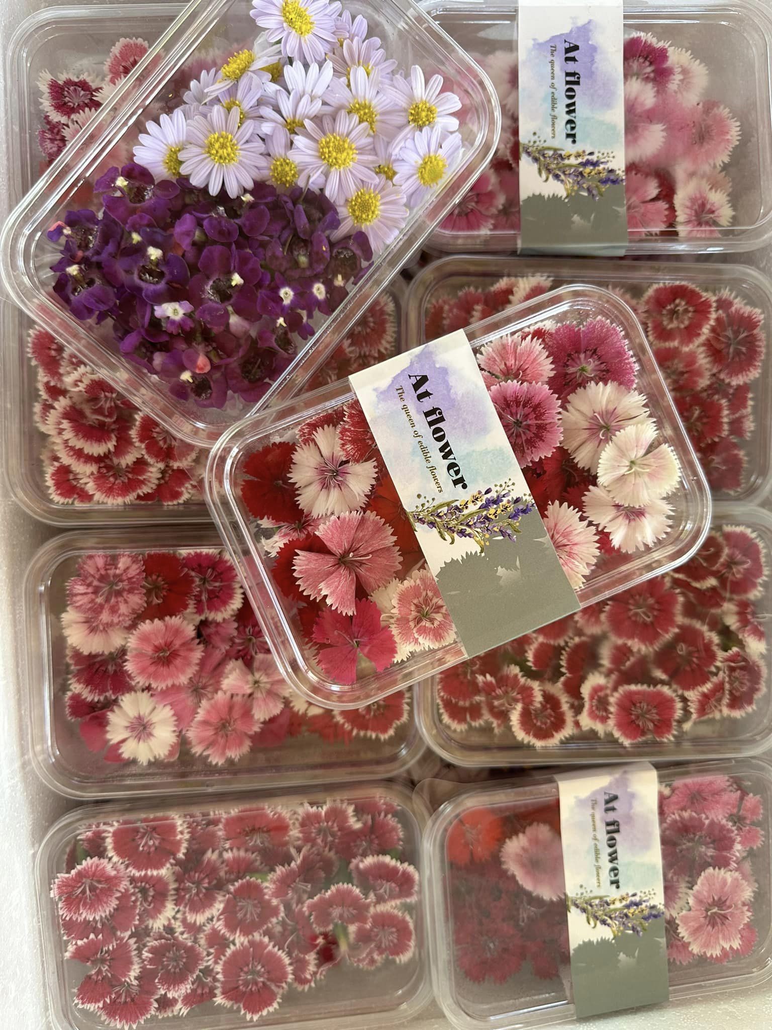 ตัวอย่างผลิตภัณฑ์2_0