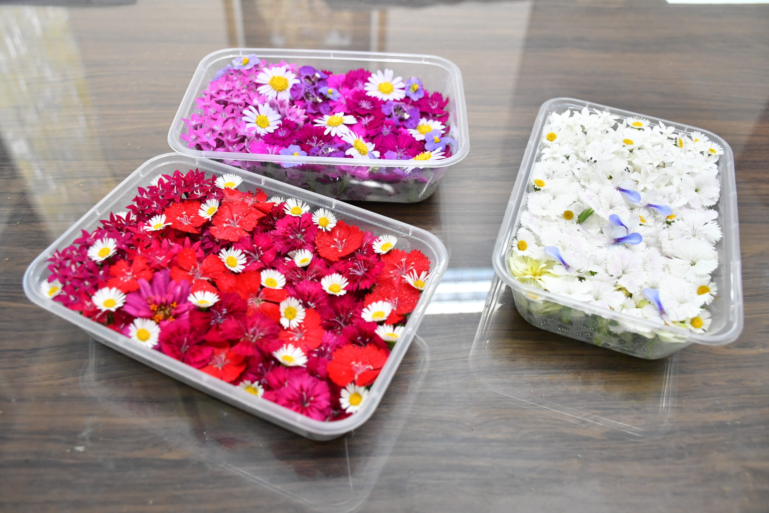 ตัวอย่างผลิตภัณฑ์3_0