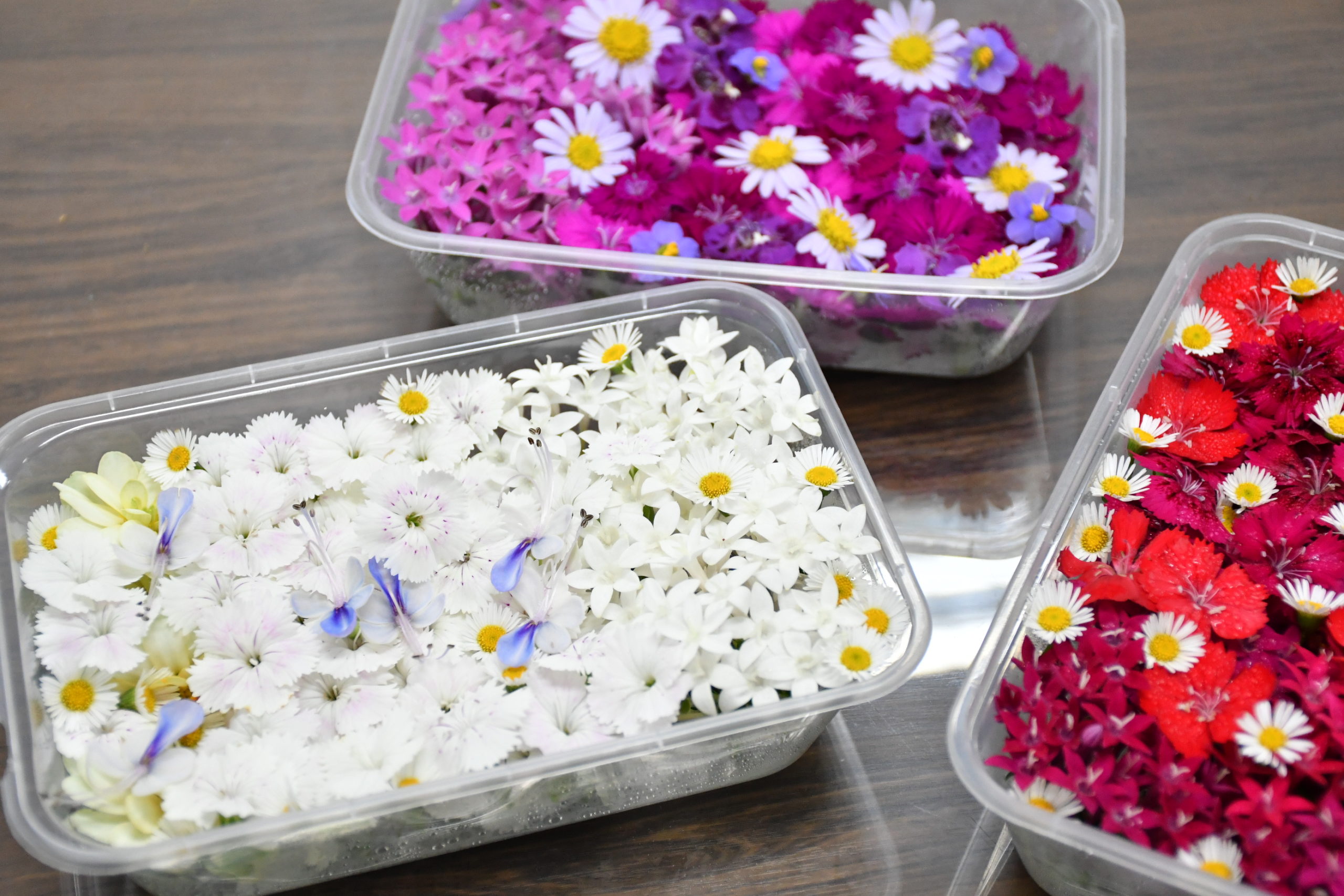 ตัวอย่างผลิตภัณฑ์4_0