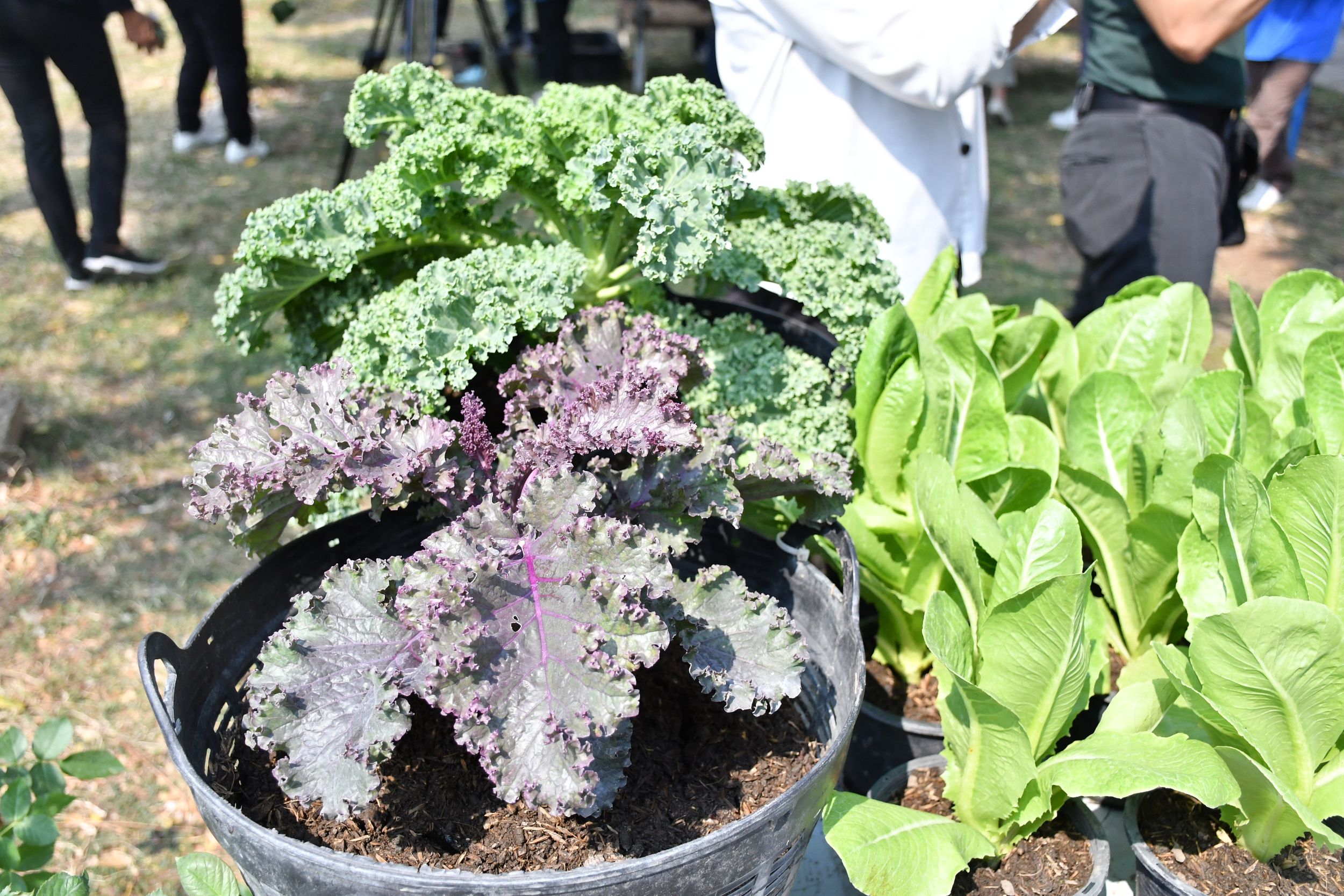 20240227-Waste-disposal-center-10