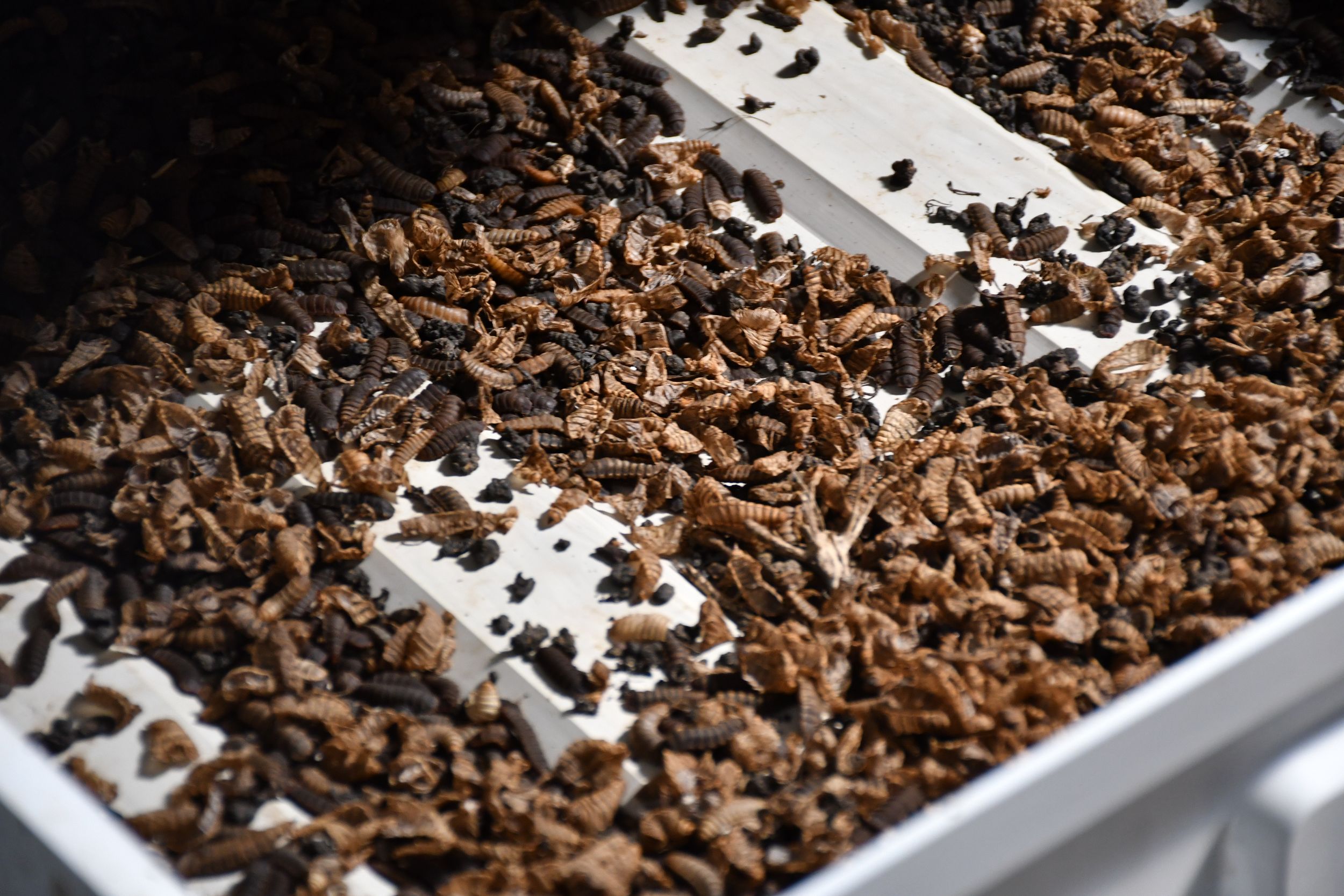 20240227-Waste-disposal-center-12