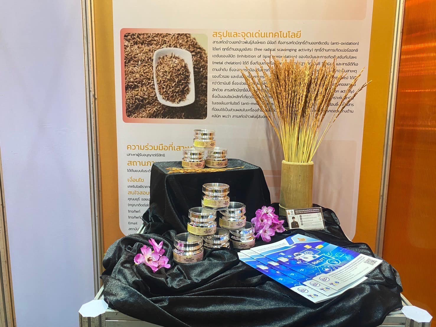 452735695_511632454875889_866806269150405726_n