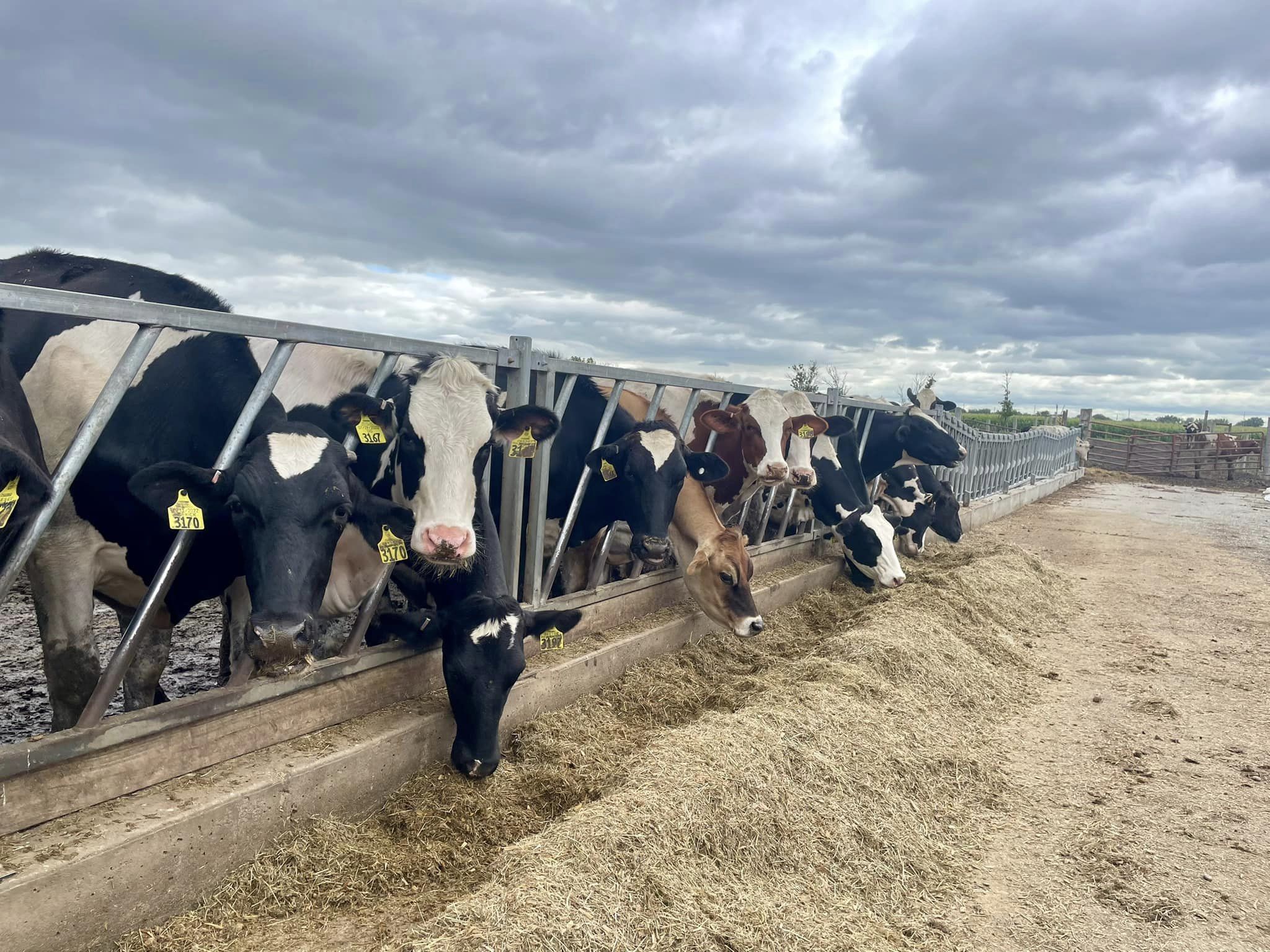 457691395_932310758706240_1916002205581263896_n