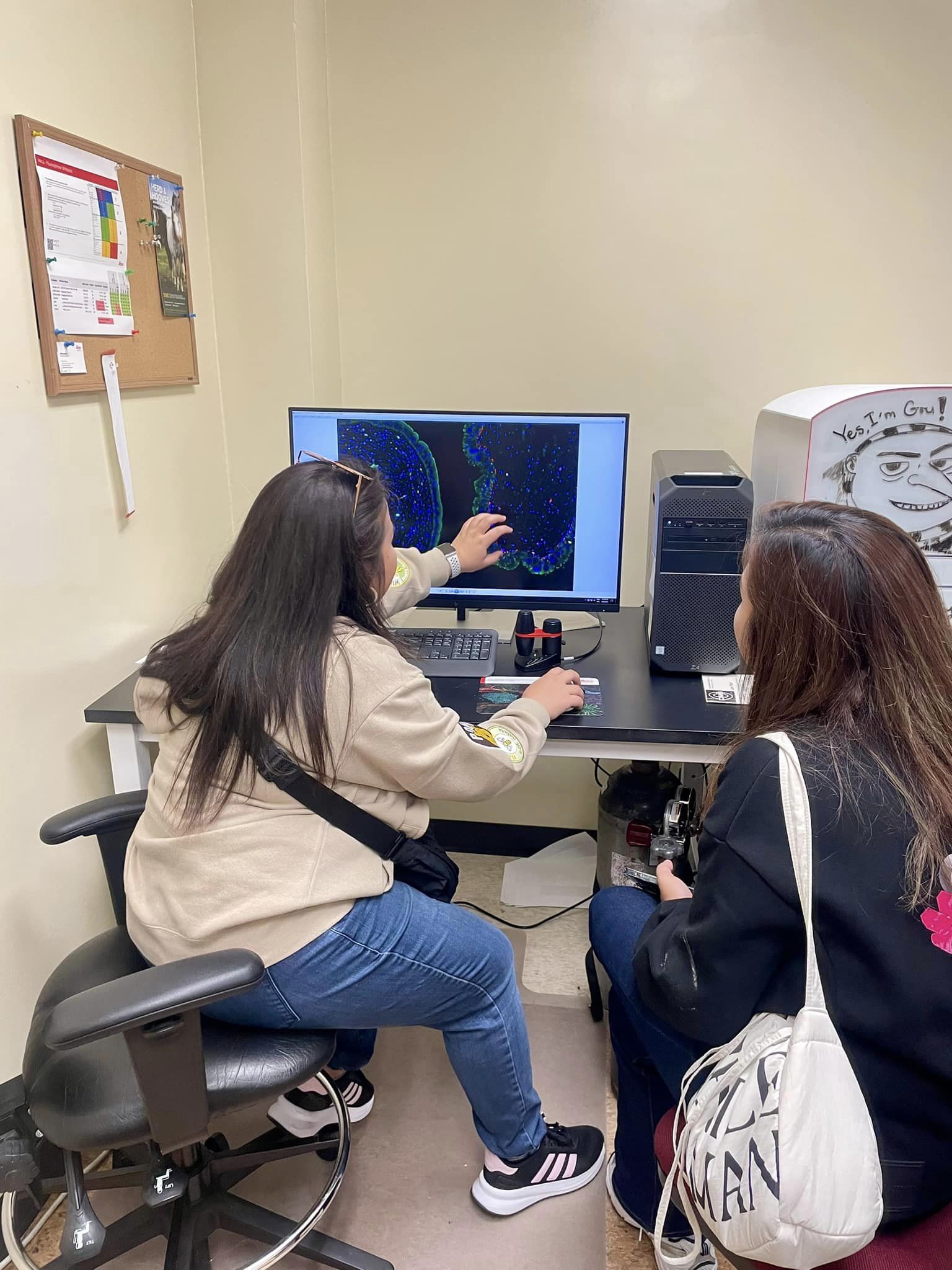 458089711_932310708706245_1538646077052450758_n