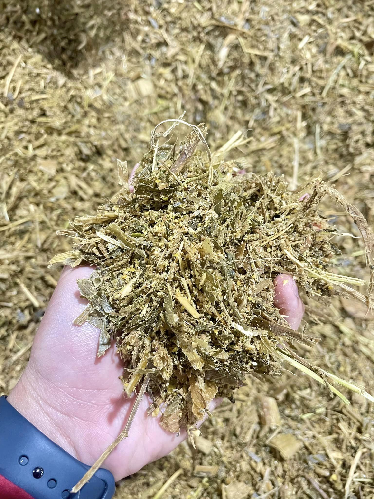 458090548_932310585372924_3855887598881871054_n