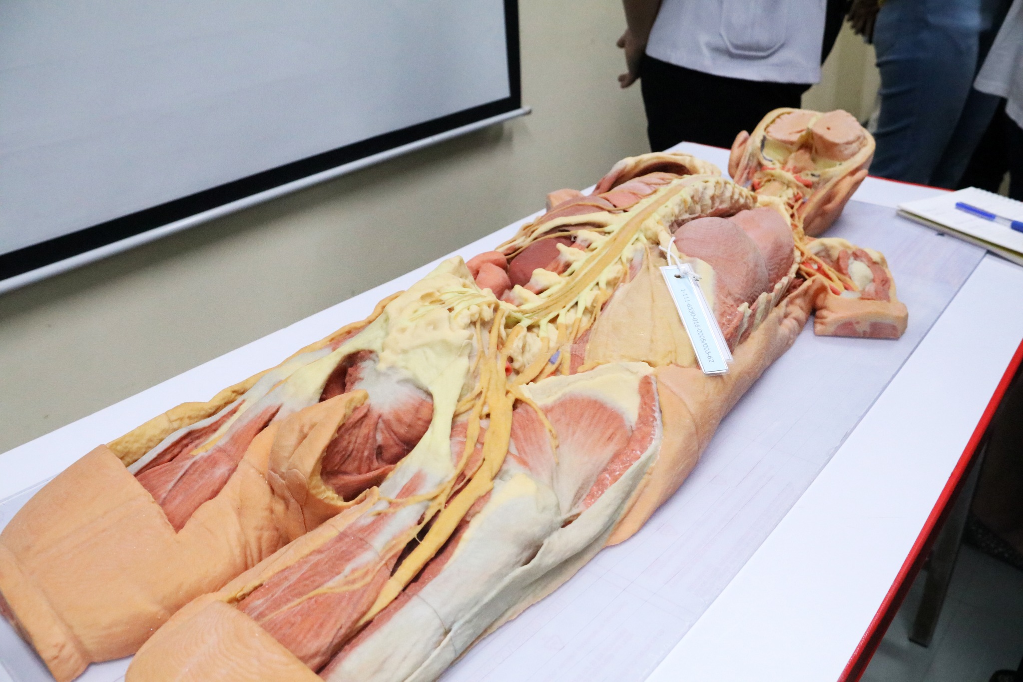 459839044_978656267615633_2426929203287273716_n