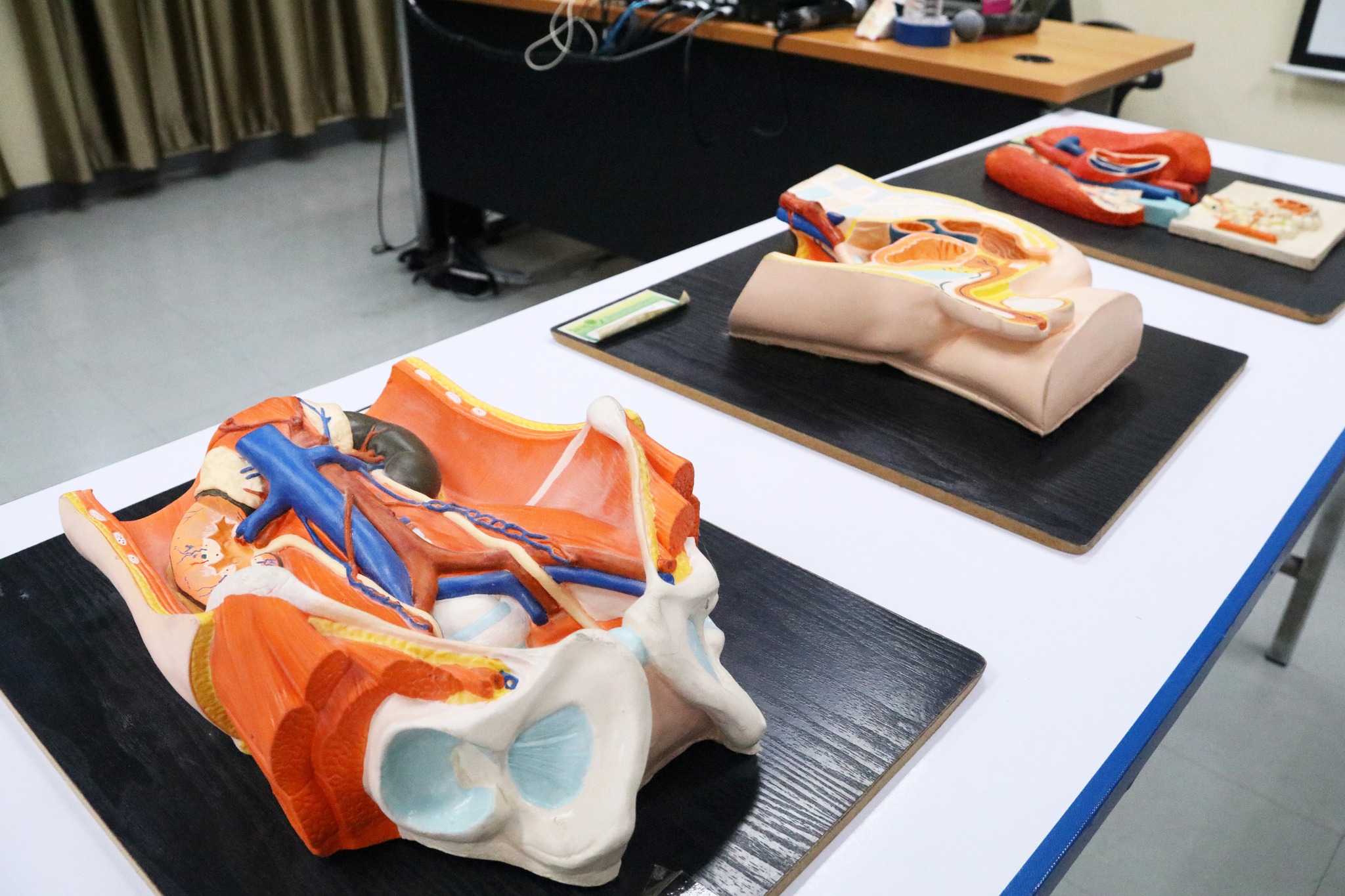 460296258_978656270948966_3957811079213981039_n