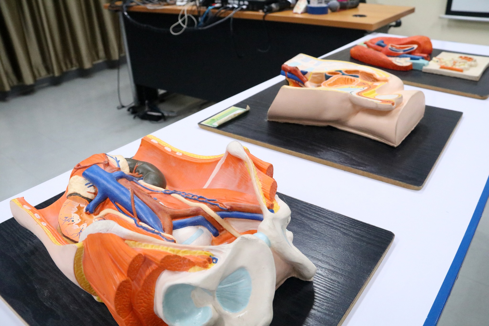 460656998_978656634282263_6447189340524319862_n