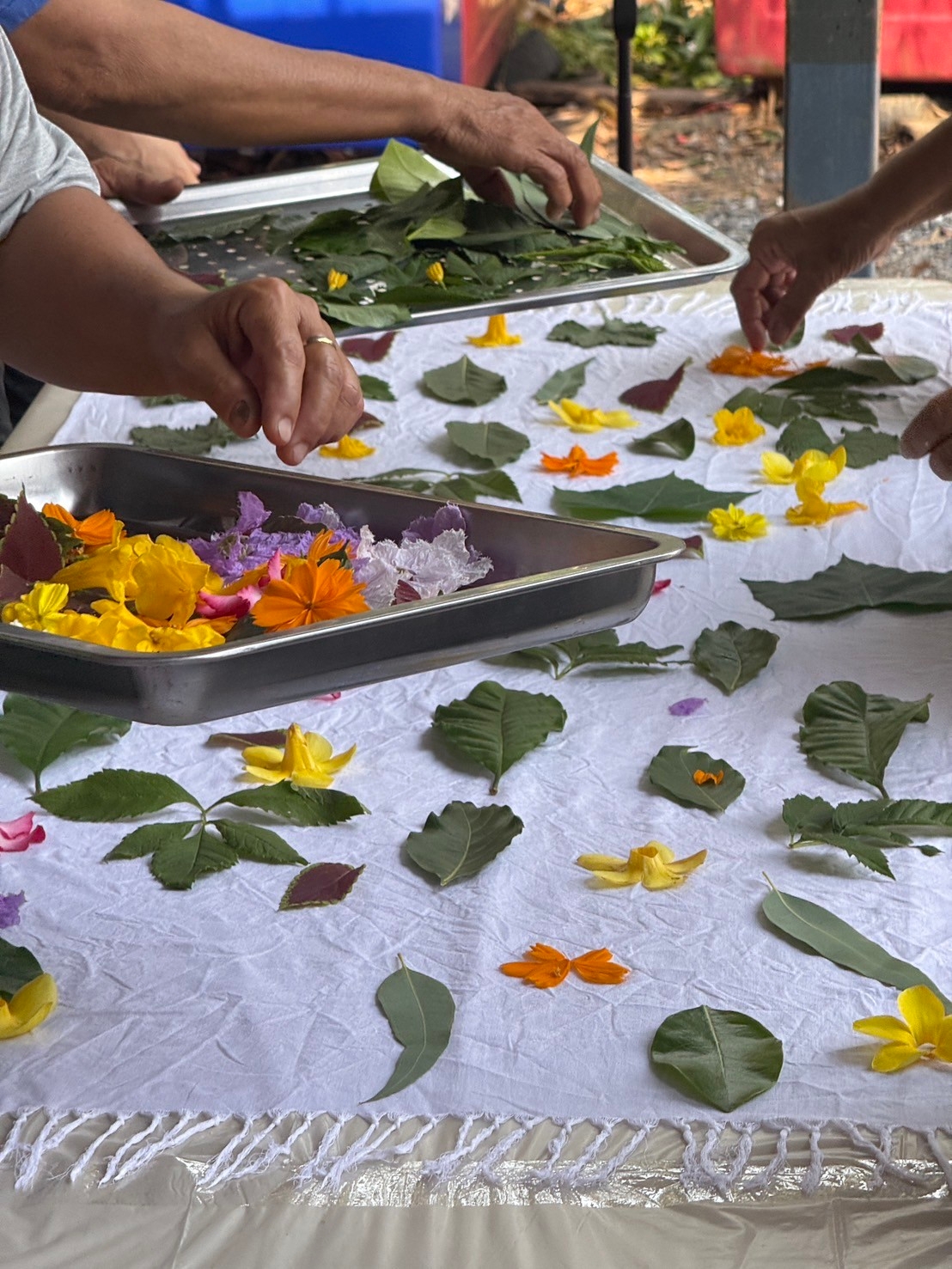 LINE_ALBUM_2025.3.3 _2_250304_4