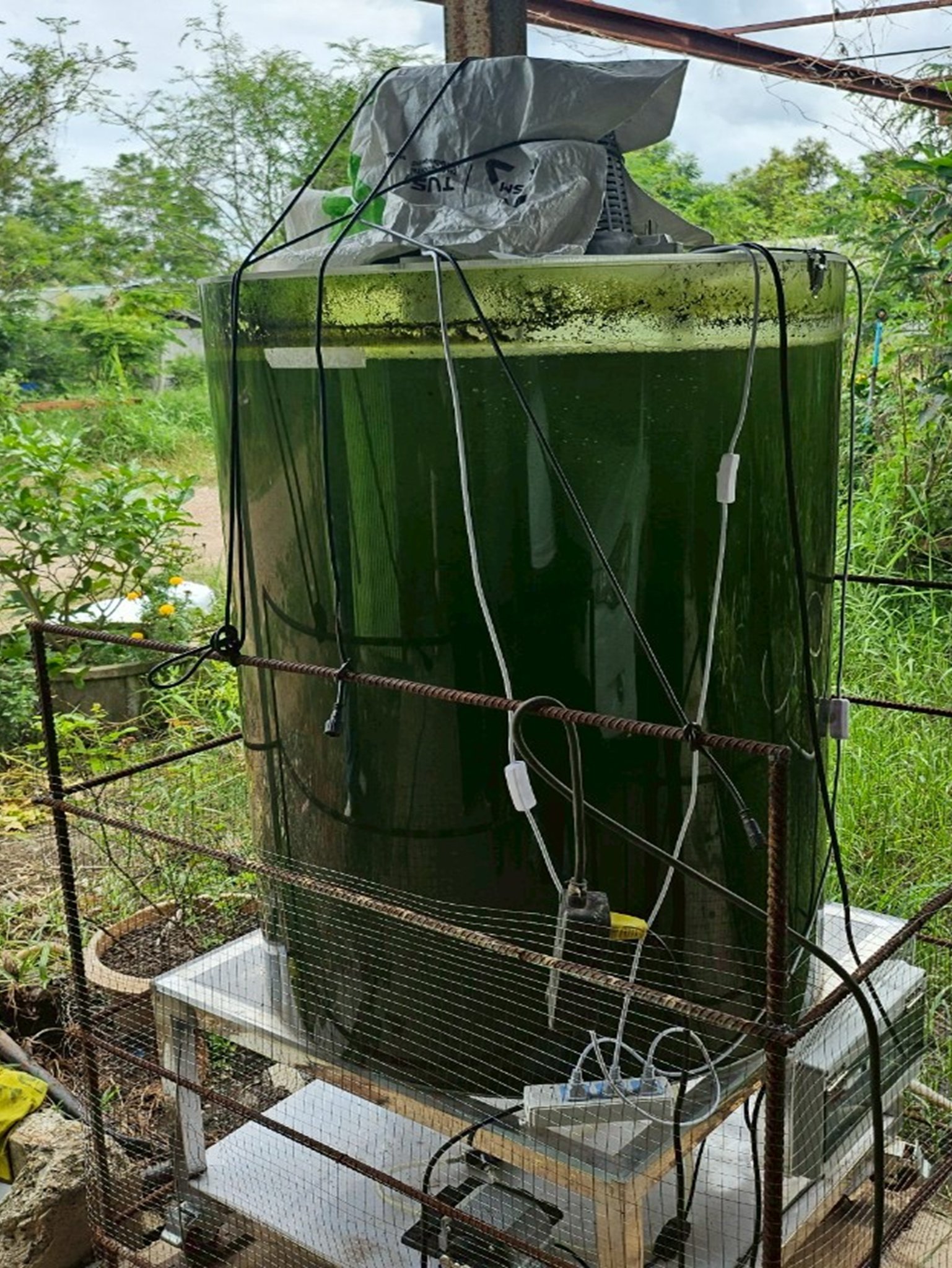 523774402_1216650573593919_6671930514073915163_n