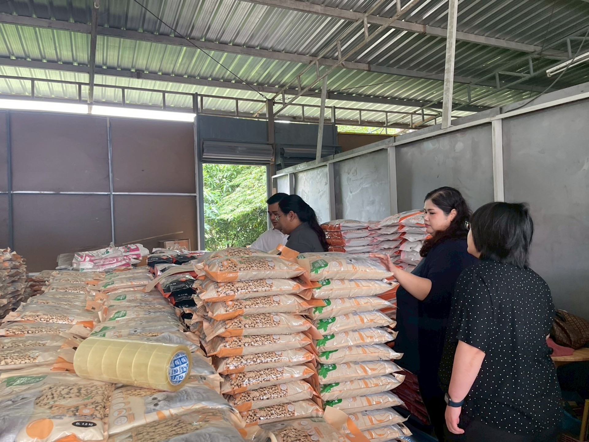 524261481_1216649383594038_7669833381557789296_n