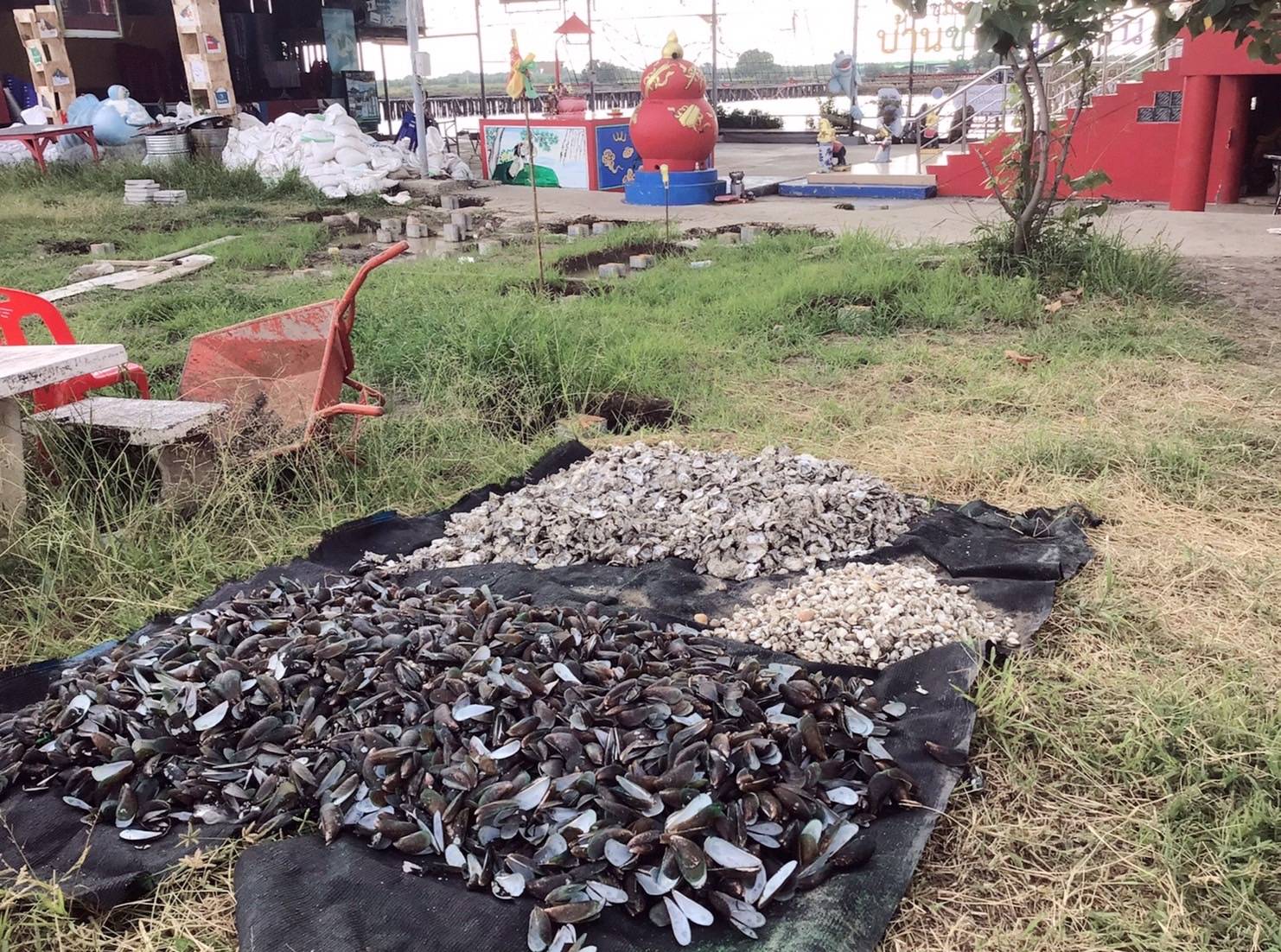 พลาสโตน8