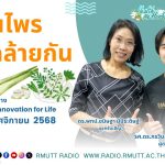 สมุนไพร ชื่อคล้ายกัน