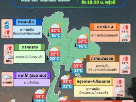 ข่าวต้นชั่วโมง 11 ธันวาคม