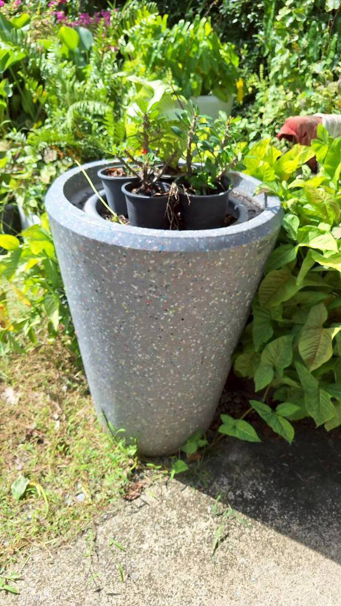 มทร.ธัญบุรี หารือ บริษัท โรโต แมชชีน เอ็นจิเนียริ่ง