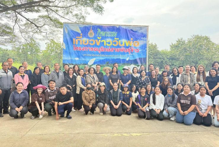 มทร.ล้านนา ลำปาง จัดกิจกรรมเกี่ยวข้าววันพ่อ