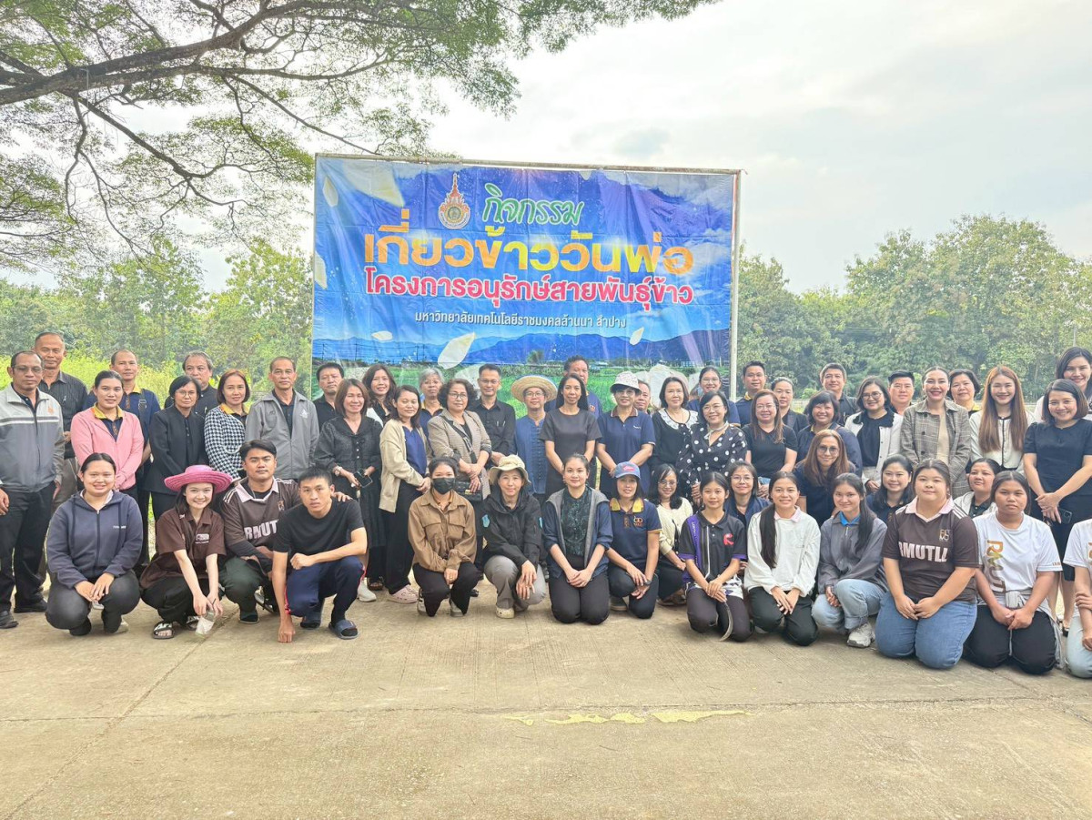 มทร.ล้านนา ลำปาง จัดกิจกรรมเกี่ยวข้าววันพ่อ