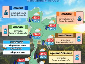 ข่าวต้นชั่วโมง 29 มกราคม