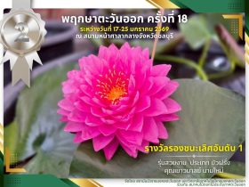 พิพิธภัณฑ์บัว มทร.ธัญบุรี คว้าเหรียญเงิน รองชนะเลิศอันดับ 1