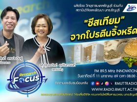 โปรตีนจิ้งหรีด