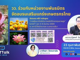 การผลิตไม้ดอกคุณภาพสูง