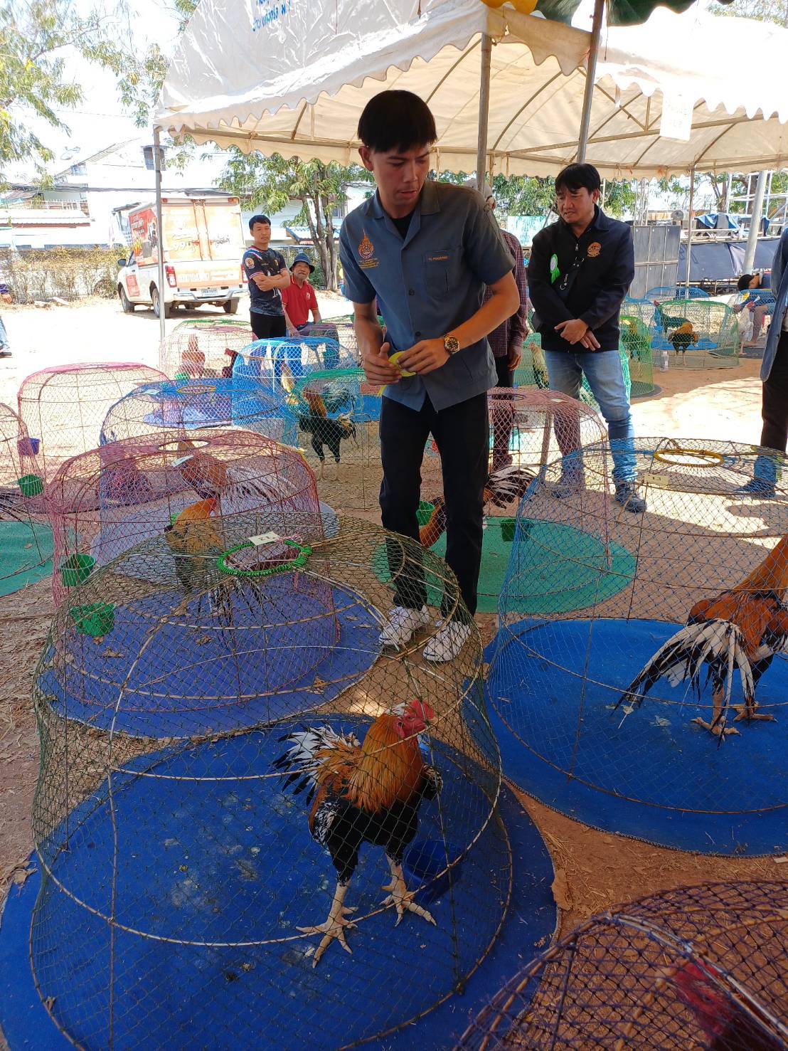 คณะเทคโนโลยีการเกษตร ร่วมตัดสินการประกวดไก่พื้นเมืองงานเจ้าพ่อพญาแล 2569