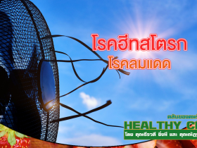 HealthClub โรคลมแดด
