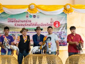 มทร.ล้านนา พิษณุโลก จัดงานประกวดไก่พื้นเมืองครั้งที่ 4