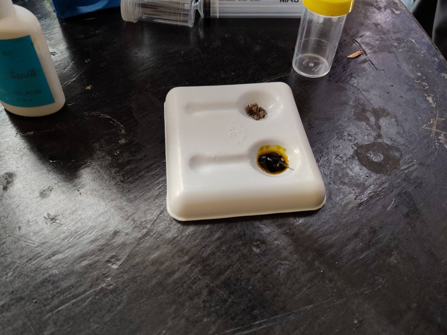 โครงการการถ่ายทอดเทคโนโลยีการปรับปรุงดินกรด