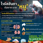 HealthClub ไวรัสอันตา