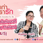 ป้าไก่อัญชุลี