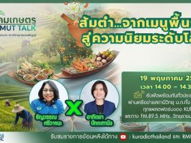สังคมเกษตร X RMUT TALK ส้มตำ … จากเมนูพื้นถิ่นสู่ความนิยมระดับโลก