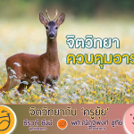 จิตวิทยากับครูยุ้ย จิตวิทยา ควบคุมอารมณ์