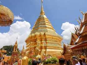 มทร.ล้านนา ร่วมบุญประเพณีเตียวขึ้นดอย